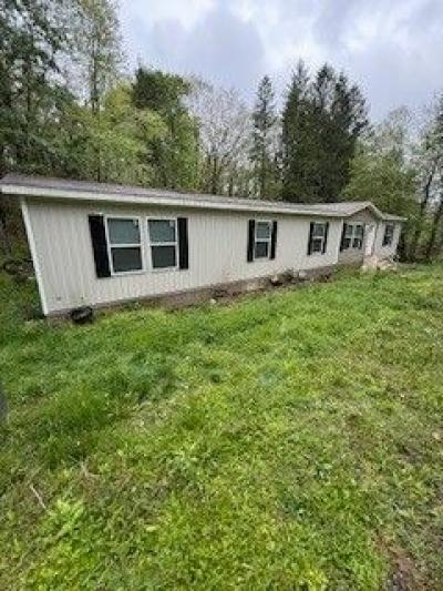 Photo 2 of 17 of home located at 10 Mustang Ln Valley Head, WV 26294
