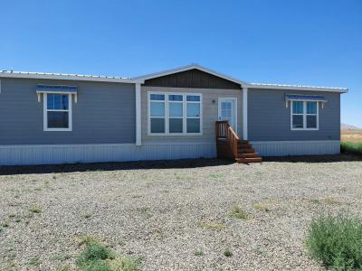 Mobile Home at 4665 Hondale Rd SW Deming, NM 88030