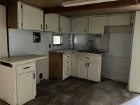 Mobile Home