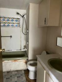 Mobile Home