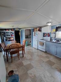 1988 Skyline Manufactured Home
