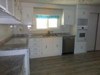 1981 Skyline MH Manufactured Home