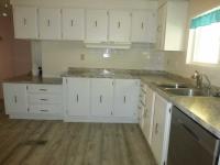 1981 Skyline MH Manufactured Home