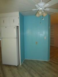 1981 Skyline MH Manufactured Home