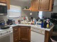 1995 Skyline Manufactured Home