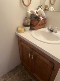 1995 Skyline Manufactured Home