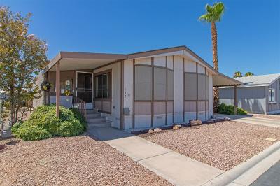 Mobile Home at 6420 E. Tropicana Ave. Las Vegas, NV 89122