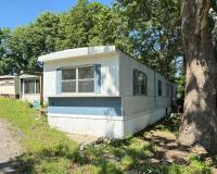 1984 Skyline Mobile Home