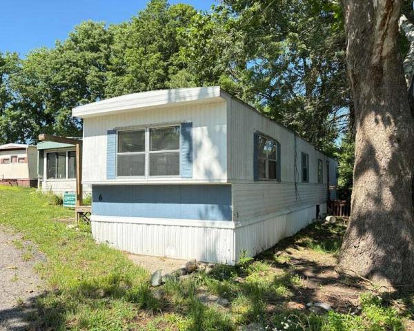 1984 Skyline Mobile Home