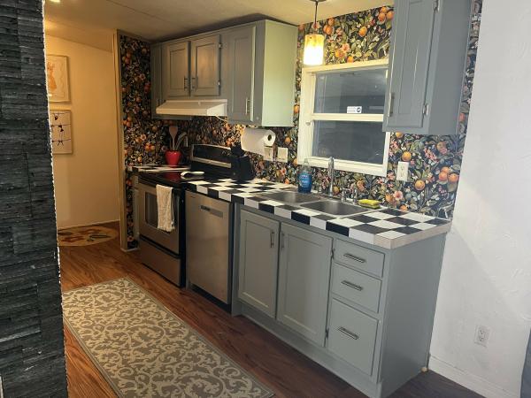 1999 Skyline HS Mobile Home