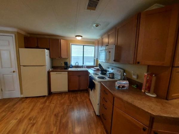 Photo 1 of 2 of home located at 159 Sea Fern Drive Leesburg, FL 34788