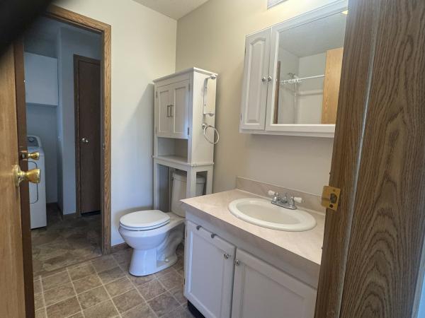 1996 Skyline Mobile Home