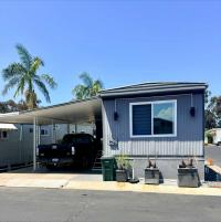1973 Skyline Manufactured Home