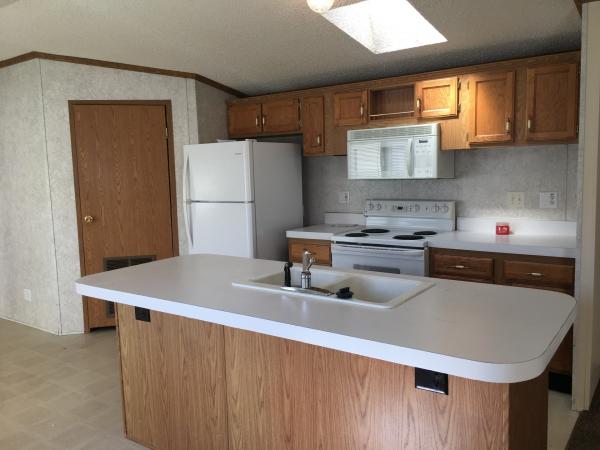 1998 Skyline Mobile Home