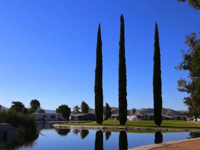 Photo 4 of 5 of home located at 5001 W. Florida Ave $626 Hemet, CA 92545