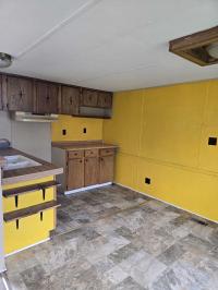 1984 SKYLINE Manufactured Home