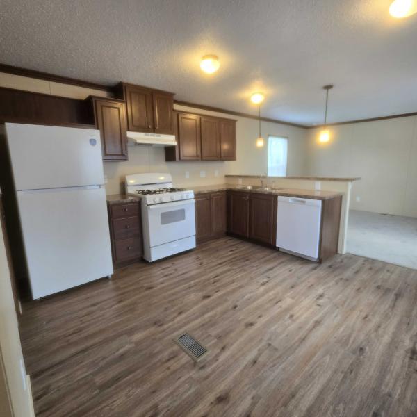 2019 Adventure  Home