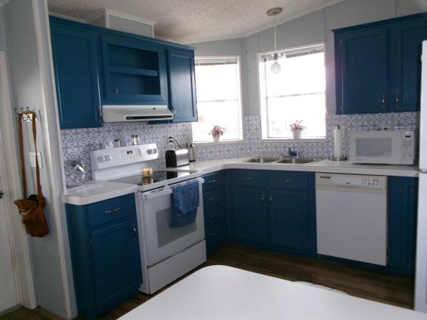1995 PALM  Home