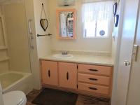 1980 SKYLINE CORP BUDDY Mobile Home
