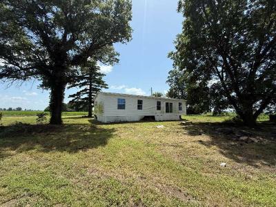 Mobile Home at 8037 County Road 541 Senath, MO 63876