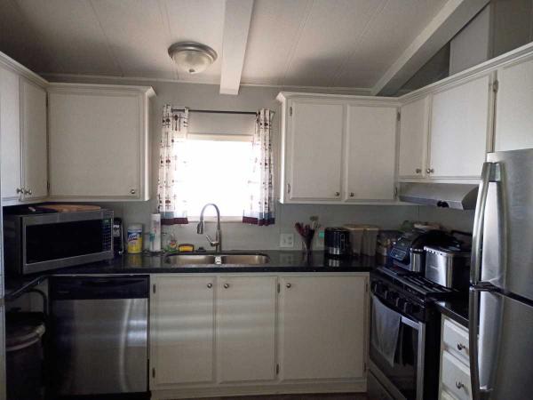 1984 Skyline Palmsprings Mobile Home