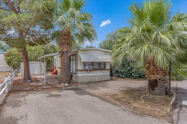 1985 Skyline Mobile Home For Sale