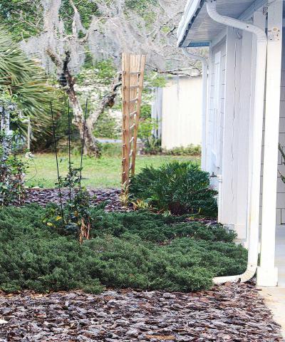 Photo 2 of 8 of home located at 132 Chestnut Lake Helen, FL 32744