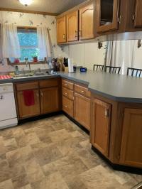 1998 Skyline Manufactured Home