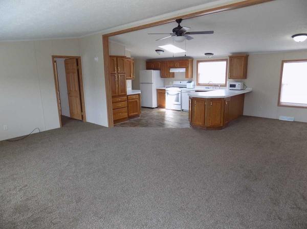 2000 Skyline Manufactured Home