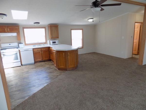 2000 Skyline Manufactured Home