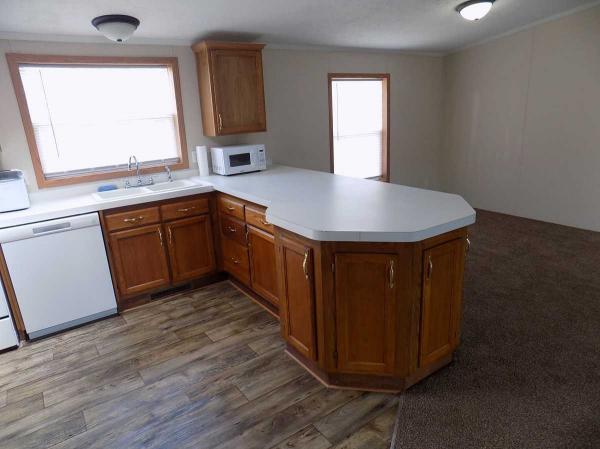 2000 Skyline Manufactured Home