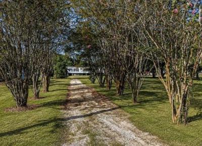 Photo 3 of 28 of home located at 22350 La Highway 1032 Denham Springs, LA 70726