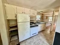 1971 Detroiter Mobile Home