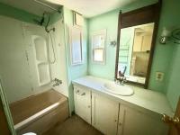 1971 Detroiter Mobile Home