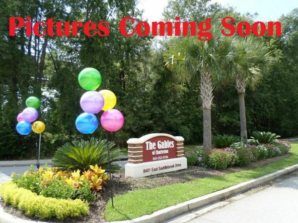 Photo 1 of 1 of home located at 4738 E Bluegrass Drive Lot Eb4738 North Charleston, SC 29420