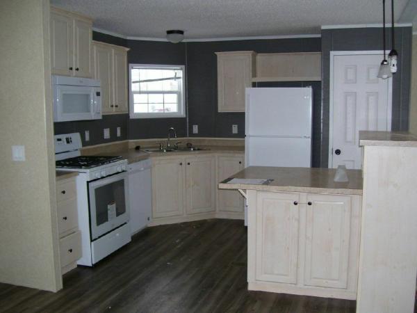 Photo 1 of 2 of home located at 258 S. Edinberg Lot 153 Grand Rapids, MI 49548
