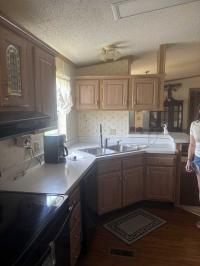 1993 Skyline Woo Mobile Home