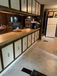 1980 Friendship Manufactured Home