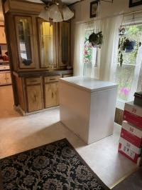 1980 Friendship Manufactured Home