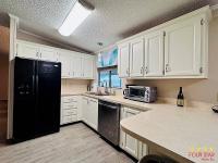 1989 PALM   Home