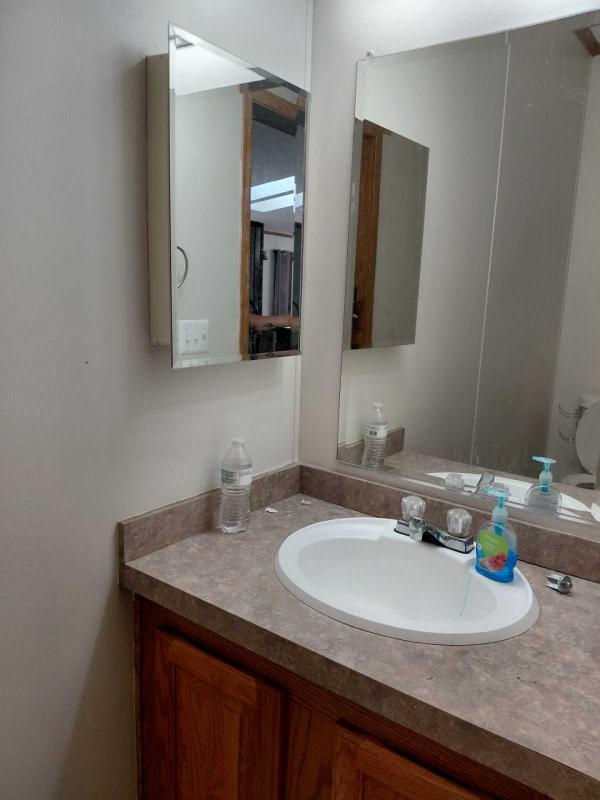 2001 Skyline Manufactured Home