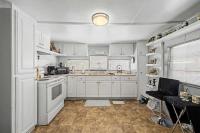 Mobile Home