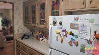 1990 Palm Harbor  Home