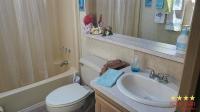 1990 Palm Harbor  Home