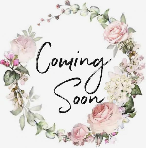 2019 Clayton Homes Inc Steal Mobile Home
