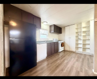 1977 Skyline Mobile Home