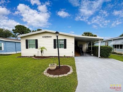 Mobile Home at 30 Malayan Sun Bear Path Ormond Beach, FL 32174