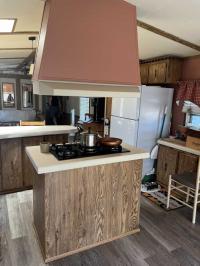 1985 Skyline Manufactured Home