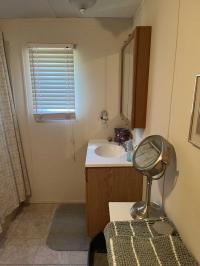 1985 Skyline Manufactured Home