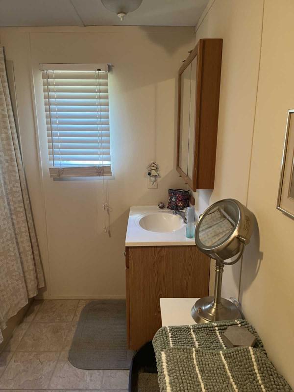 1985 Skyline Manufactured Home